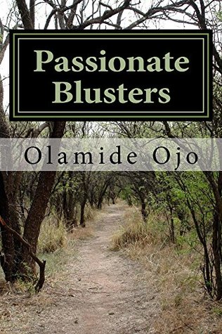 Passionate Blusters by Olamide Ojo